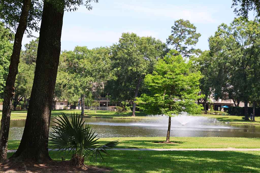Pond in Fosters Mill Village, Kingwood, Texas