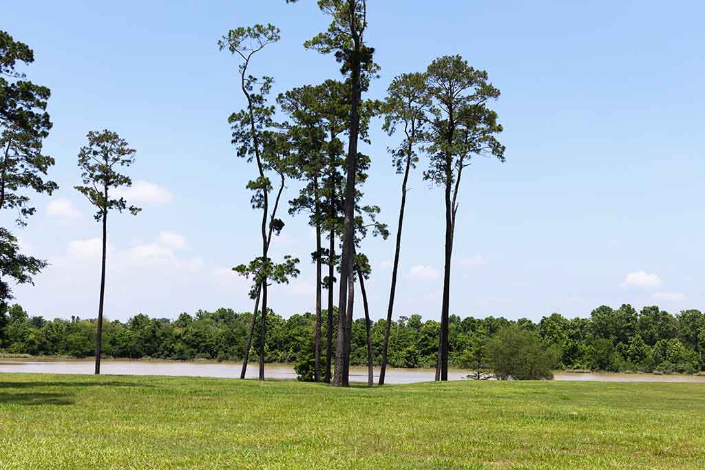 Lakefront lot in Kings Lake Estates, Kingwood, Texas