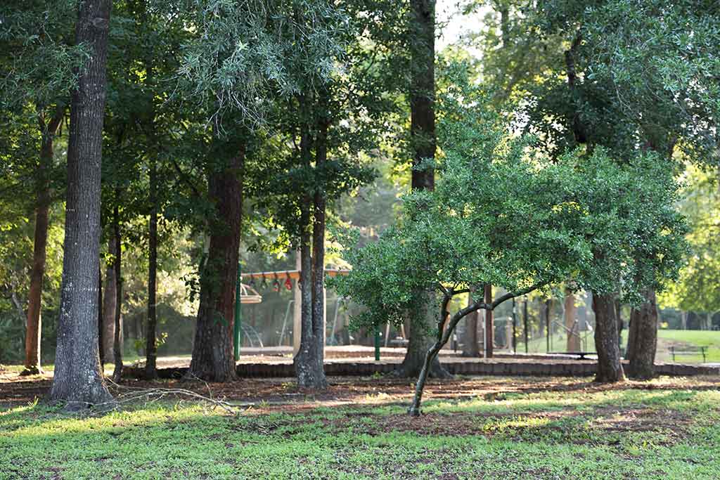 Neighborhood park playground in Mills Branch Village, Kingwood, Texas