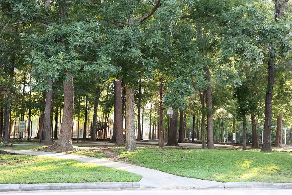 Shaded playground in Mills Branch Village, Kingwood, Texas